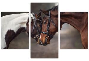 Kép - Szerelmes lovak (90x60 cm)