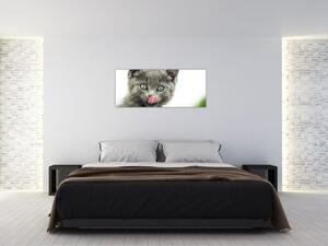 Nyaló cica képe (120x50 cm)