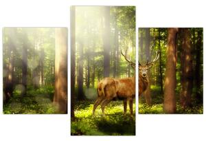 Kép egy szarvas az erdőben (90x60 cm)