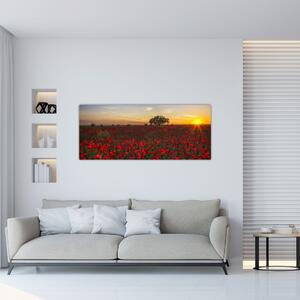 Pipacsos rét képe (120x50 cm)