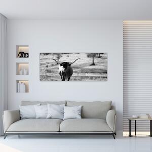 Kép - Tehén, fekete-fehér (120x50 cm)