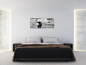 Kép - Tehén, fekete-fehér (120x50 cm)