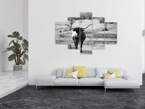 Kép - Tehén, fekete-fehér (150x105 cm)