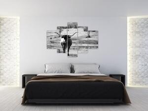 Kép - Tehén, fekete-fehér (150x105 cm)