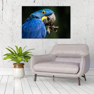 Papagáj képe (90x60 cm)