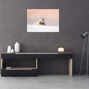 Kép - Jegesmedve (70x50 cm)