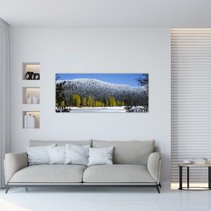 Kép - havas hegyek télen (120x50 cm)