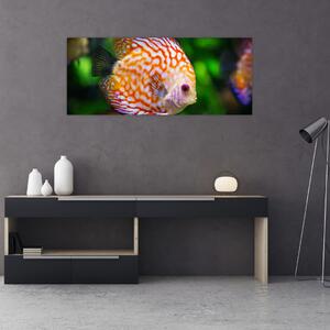 Egy hal képe (120x50 cm)