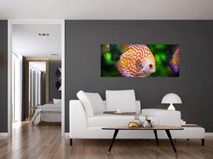 Egy hal képe (120x50 cm)