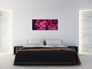 Kép - Csokor pünkösdi rózsa (120x50 cm)