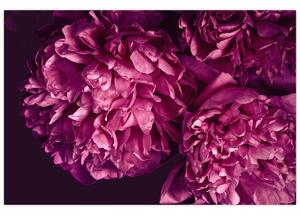Kép - Csokor pünkösdi rózsa (90x60 cm)
