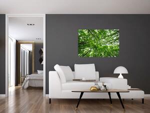 Kép - Kilátás a fák tetejére (90x60 cm)