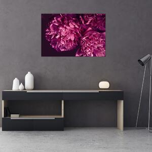 Kép - Csokor pünkösdi rózsa (90x60 cm)