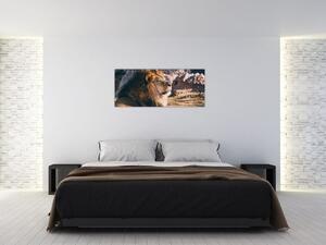 Egy fekvő oroszlán képe (120x50 cm)