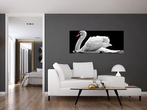 Fekete-fehér hattyúk képe (120x50 cm)