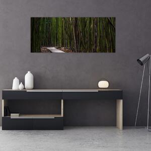 Kép - A bambuszok között (120x50 cm)