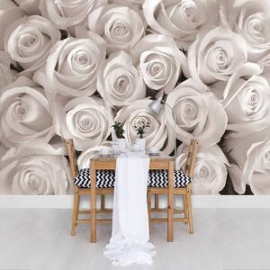 Fotótapéta - Fehér rózsák (152,5x104 cm)