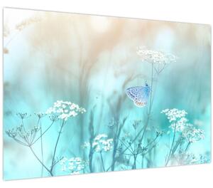 Kép - Pillangó kékben (90x60 cm)
