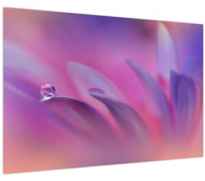 Kép - Csepp a virágon (90x60 cm)