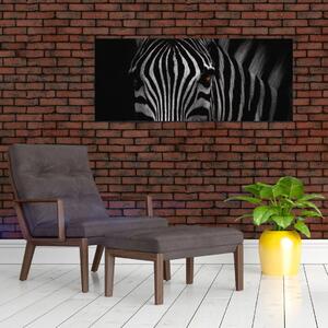 Zebra képe (120x50 cm)