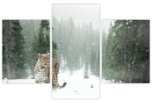 Leopárd a hóban képe (90x60 cm)
