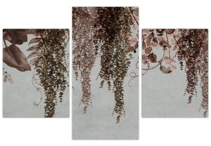 Kép - Növények (90x60 cm)