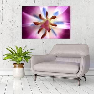 Kép - Tulipán virág részletesen (90x60 cm)
