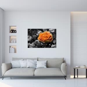 Virág képe (90x60 cm)