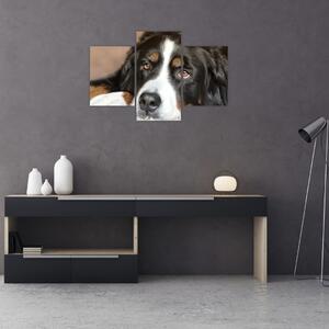 Kutya képe (90x60 cm)