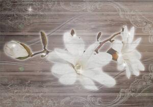 Fotótapéta - Virágok egy fából készült háttér (152,5x104 cm)