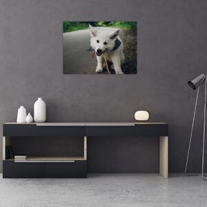 Egy fehér kutya képe (70x50 cm)