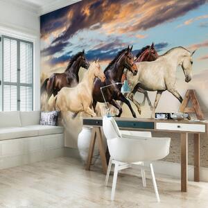 Fotótapéta - Vágtó Mustangok (152,5x104 cm)