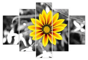 Sárga virágok képe (150x105 cm)