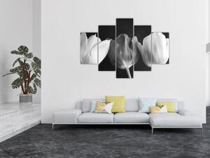 Kép - fekete-fehér tulipán virág (150x105 cm)