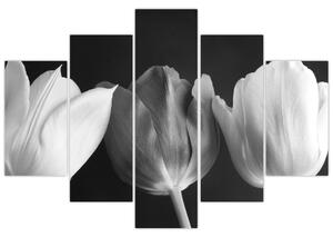 Kép - fekete-fehér tulipán virág (150x105 cm)