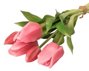 Real touch gumi tulipán, 5 szálas köteg, 30cm magas - Rózsaszín