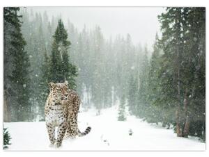 Leopárd a hóban képe (70x50 cm)