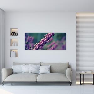 Lila virág képe (120x50 cm)