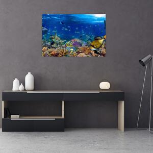 Kép - Óceán (90x60 cm)