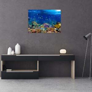 Kép - Óceán (70x50 cm)
