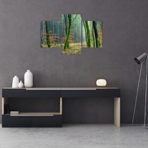 Az erdő képe (90x60 cm)