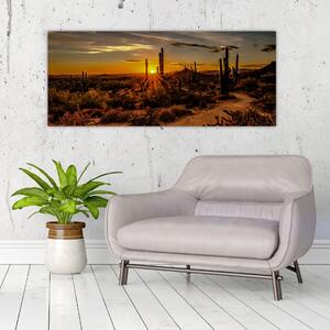 Kép - A nap vége az arizonai sivatagban (120x50 cm)