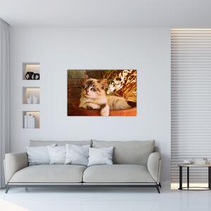 Macska a virágcserépben képe (90x60 cm)