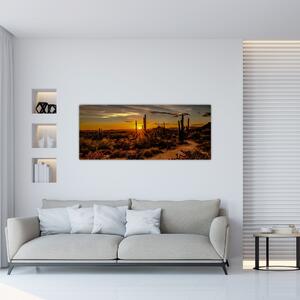 Kép - A nap vége az arizonai sivatagban (120x50 cm)