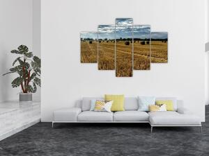 Betakarított gabona mező képe (150x105 cm)