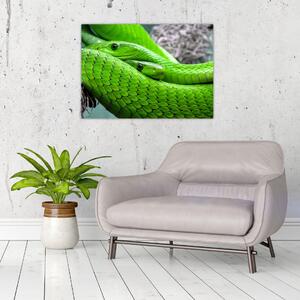 Zöld kígyók képe (70x50 cm)