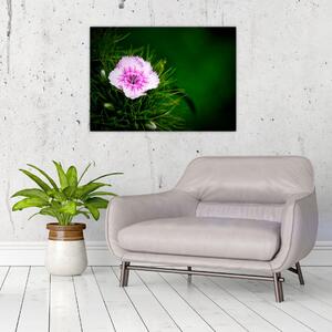 Rózsaszín virág képe (70x50 cm)