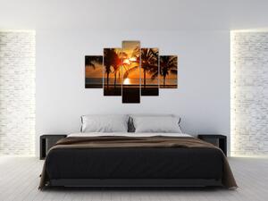 Pálmafa a naplementében képe (150x105 cm)