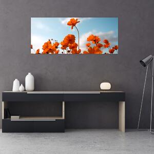 Kép - Réti virágok (120x50 cm)