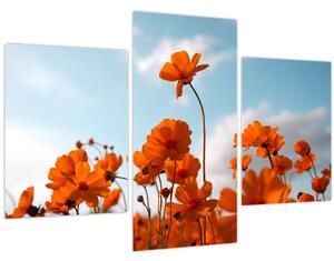 Kép - Réti virágok (90x60 cm)